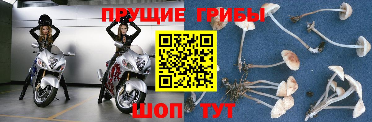 Псилоцибиновые грибы мухоморы  Вход с VPN  Добрянка 